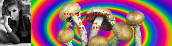 jwh Туринск