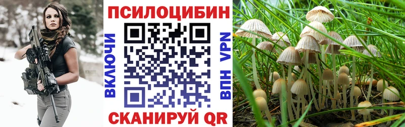Галлюциногенные грибы мицелий  omg вход  Кисловодск 