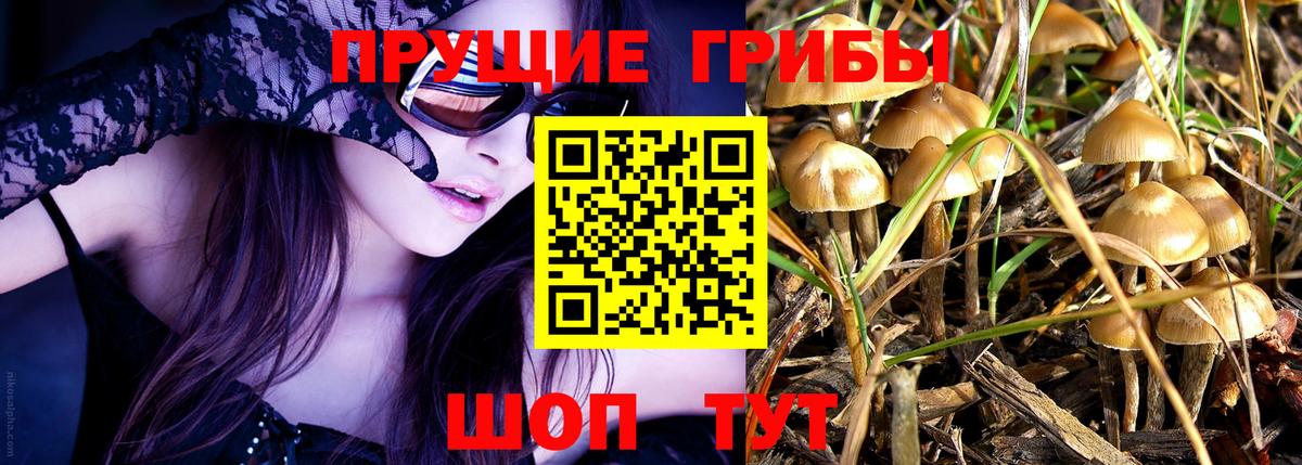 Кисловодск  Псилоцибиновые грибы Psilocybine cubensis  Вход с VPN  Галлюциногенные грибы Psilocybine cubensis 