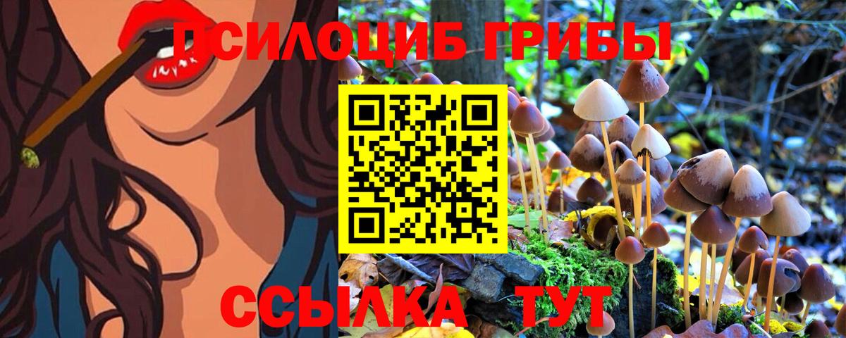 Псилоцибиновые грибы ЛСД Кисловодск